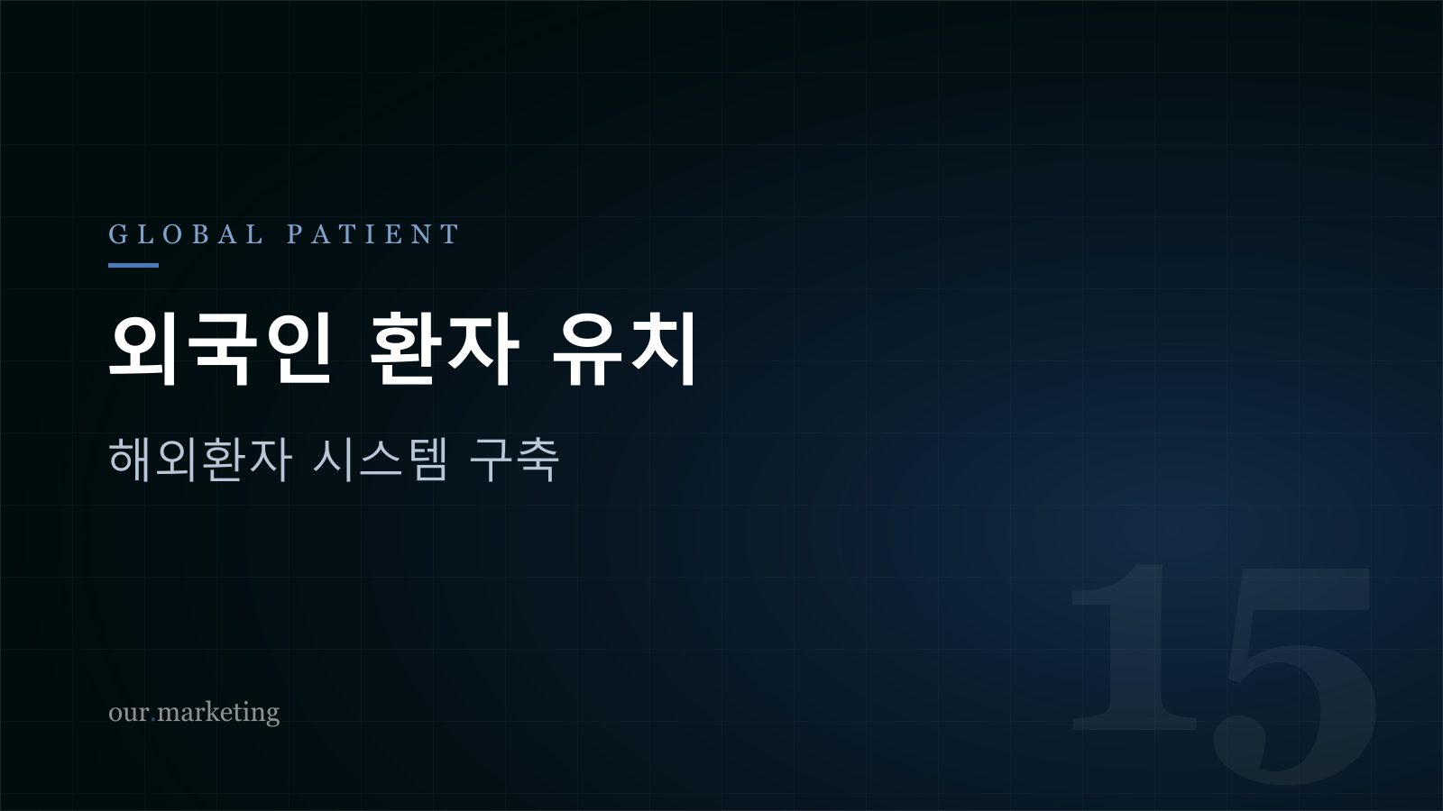 외국인 환자 유치 시스템 구축